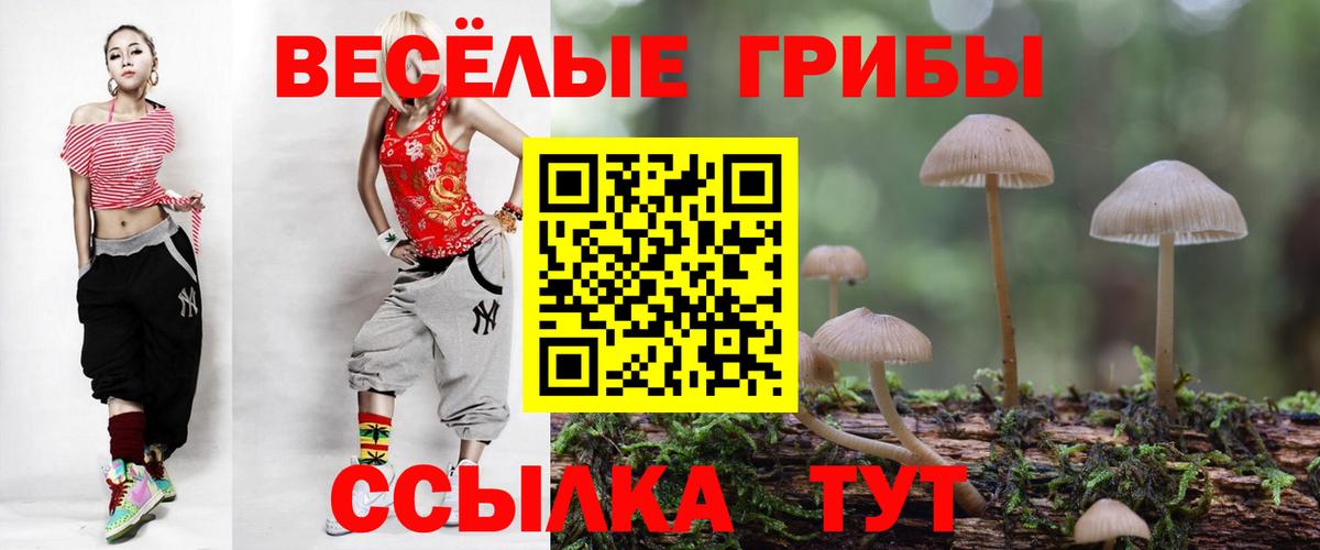Псилоцибиновые грибы GOLDEN TEACHER Кизилюрт